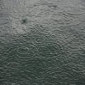 rain.jpg